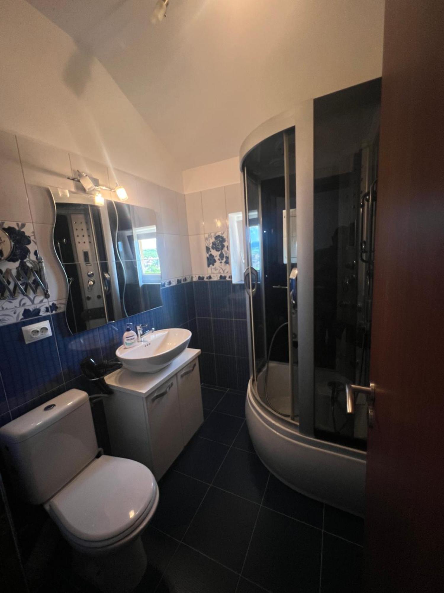 Ovidius Apartament Cisnadie Экстерьер фото